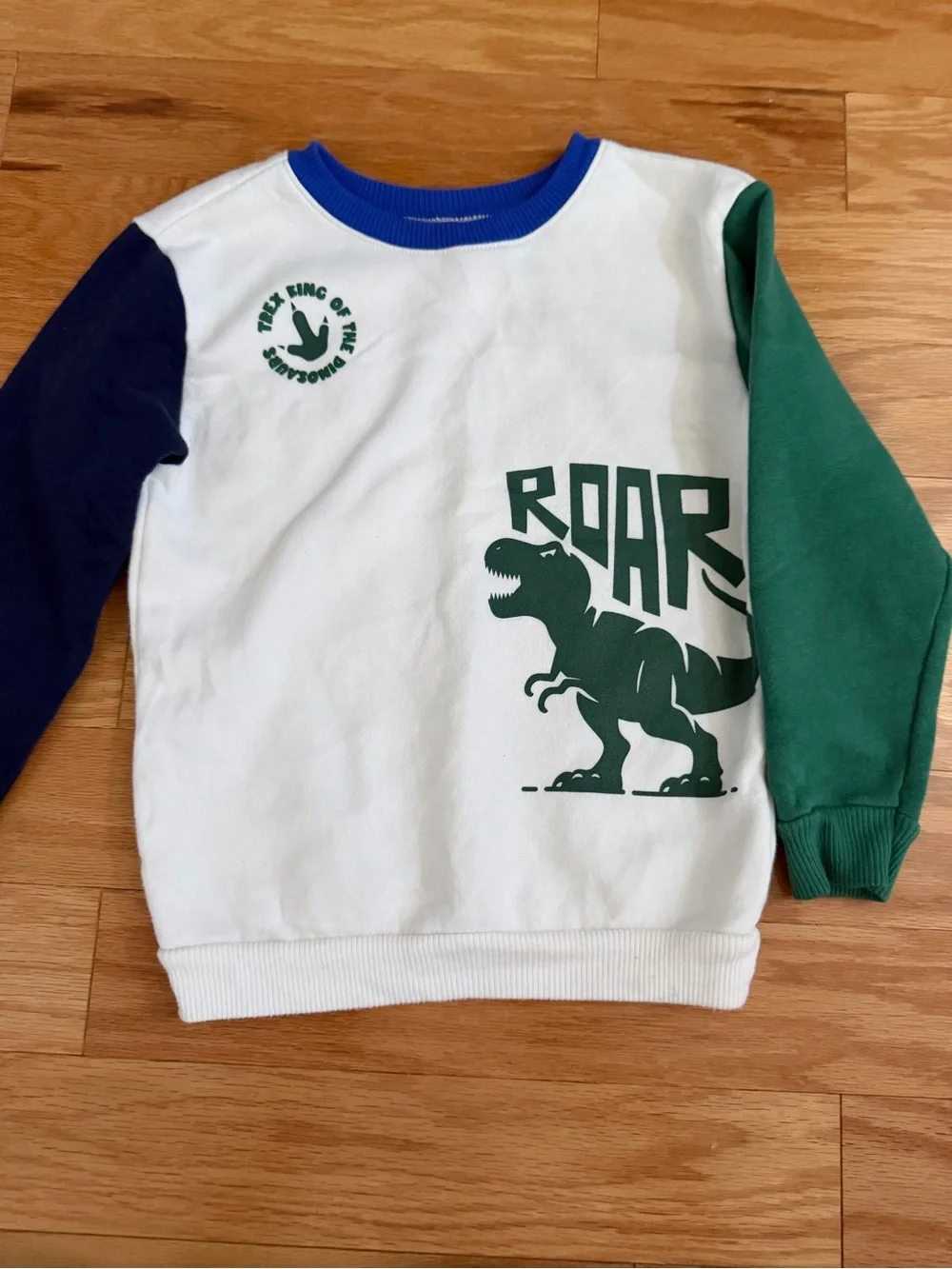 Garanimals Boys  Hoodie and Sweat pant Bundle size 5T